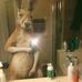 Profile Picture of Brendan Nguyen (@brendan.nguyen.66) on Facebook