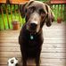 Profile Picture of Justin Paradis (@justin.paradis.319) on Facebook
