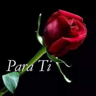 Profile Picture of Julian Canela (@canelaveracruz) on Twitter