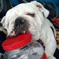 Profile Picture of Jeff Kuhns (@jeff-kuhns-4) on Quora