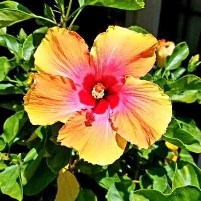 Profile Picture of Matthew Holl (@Holla14850) on Twitter