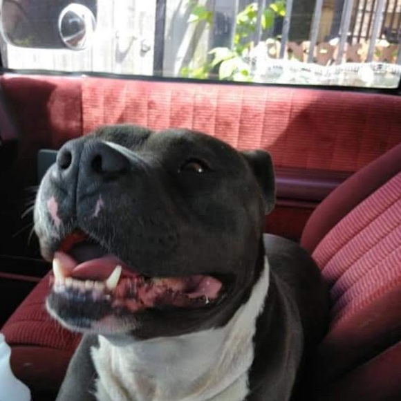 Profile Picture of Nez Nez (@bendite4) on Poshmark