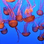 Profile Picture of Kate Mcphail (@mcphail_kate) on Instagram