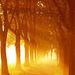 Profile Picture of Isaac Sutton (@isaacasutton87) on Pinterest