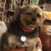 Profile Picture of Phyllis Reavis Upchurch (@phyllisreavis.upchurch) on Facebook