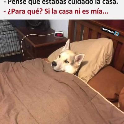 Profile Picture of Heladio Azamar Lopez (@HeladioAzamar) on Twitter