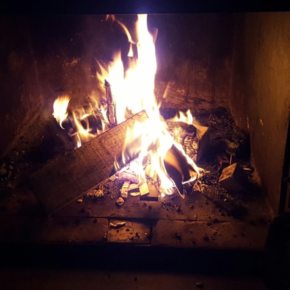 Profile Picture of Liz Ciliento (@alybird17) on Poshmark