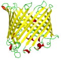 Profile Picture of Beta barrelon Wikipedia