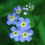 Profile Picture of Robin McRath (@somethingblue_weddingofficiant) on Instagram