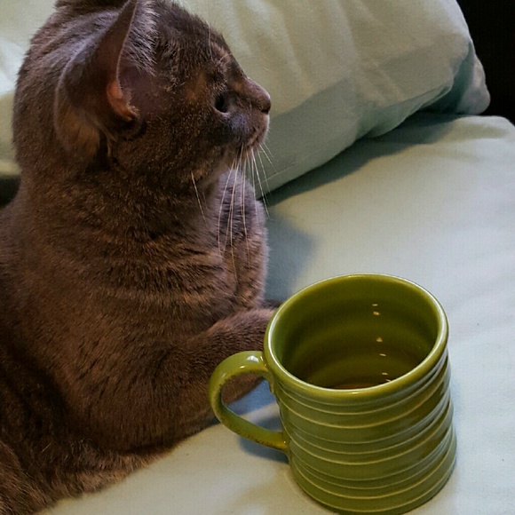 Profile Picture of Stephanie Hubacek (@stephwest23) on Poshmark