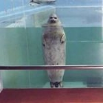 Profile Picture of Josh Hardman (@joshhardmann) on Instagram