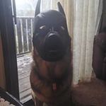 Profile Picture of James A.Gordon (@jamesa.gordon) on Instagram