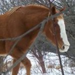 Profile Picture of Connie Covey (@conniecovey) on Instagram