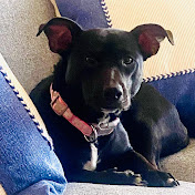 Profile Picture of Steven Cochran (@nuttyrebsteve) on Youtube