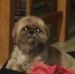 Profile Picture of Steve Lutta (@steve.lutta.908) on Facebook