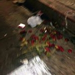 Profile Picture of Angel Joy Beras Alcayde (@anjobeal) on Instagram