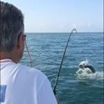 Profile Picture of Greg Dalessandro (@gregdalessandro) on Instagram