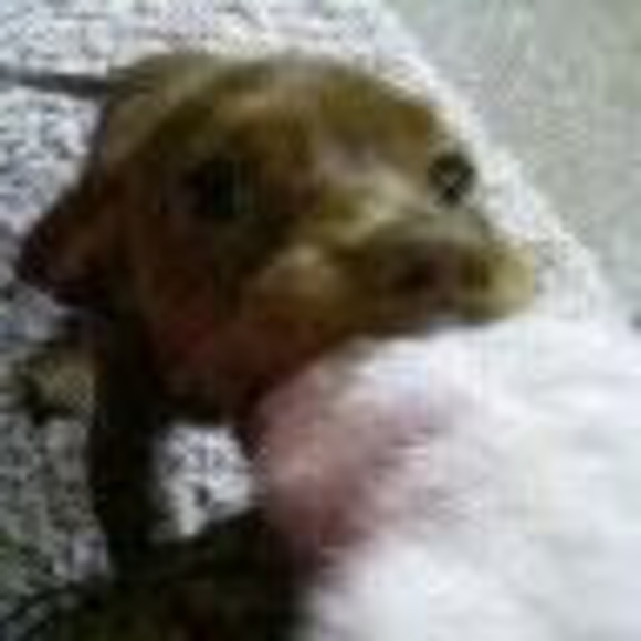 Profile Picture of Jen Efird (@jenefird) on Poshmark