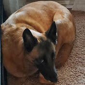 Profile Picture of Zachary Sizemore (@zacharysizemore6165) on Youtube