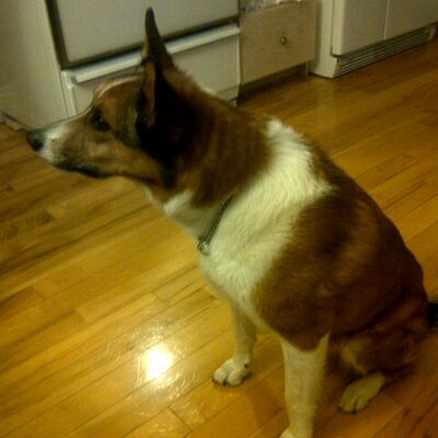 Profile Picture of Joe Jamieson (@jjamieson9) on Twitter