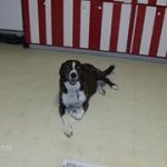 Profile Picture of Jamie Cavanaugh Walsh (@jamieannwalsh713) on Instagram