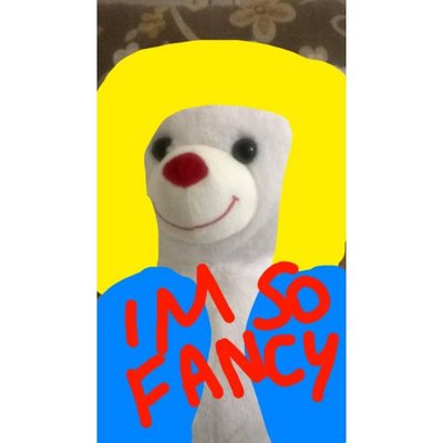 Profile Picture of Teddy Peter Odell (@teddybearpeter) on Twitter