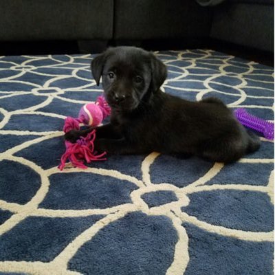 Profile Picture of Jose (@JoeySullivan21) on Twitter