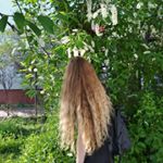 Profile Picture of Peter Pan (@apollinarko) on Instagram