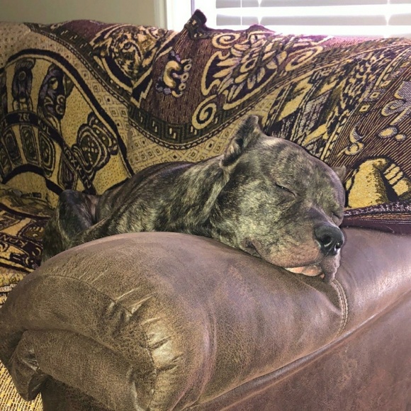 Profile Picture of Joel Longoria (@hootus2) on Poshmark