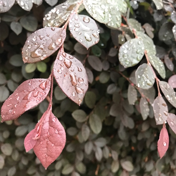 Manku M - Poshmark Profile Picture of Manku M (@manku_26) on Poshmark