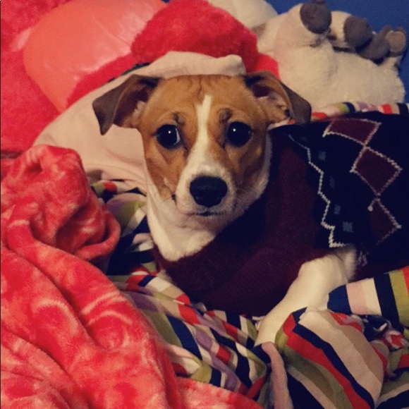 Profile Picture of Berenice Chiquito (@berenicec225) on Poshmark