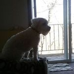 Profile Picture of Eric Gottschalk (@ericgottschalk) on Instagram