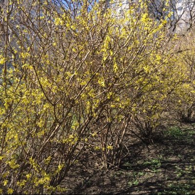 Profile Picture of Sandor Horvath (@sandorhorvath12) on Twitter