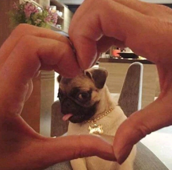 Profile Picture of Ezra Rollyson (@ezra576) on Poshmark