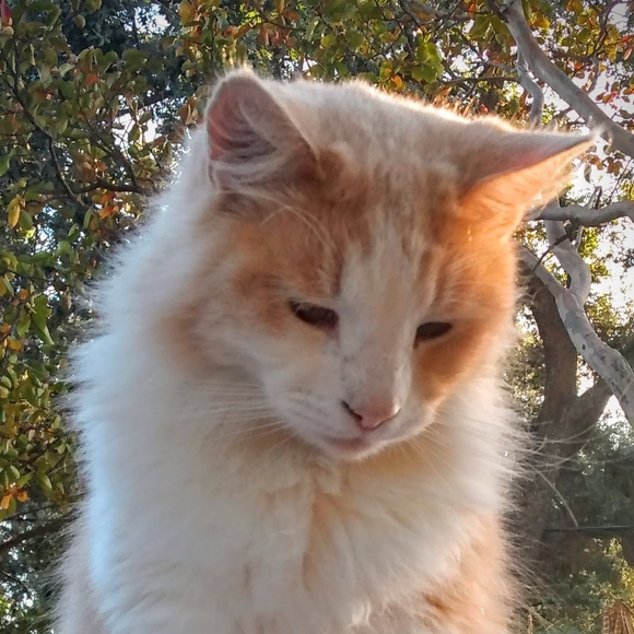 Profile Picture of Jaycie Mcmullan (@jayciemcmullan) on Poshmark