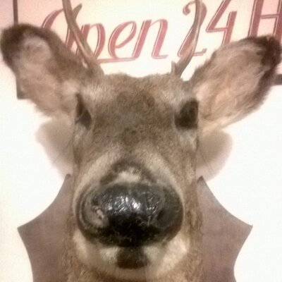 Profile Picture of Josh Raper (@jwr2774) on Twitter