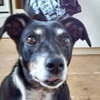 Profile Picture of Rudy Paul (@rudy-paul-2) on Quora