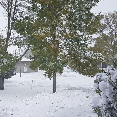 Profile Picture of Benjamin Spiller (@BenSpiller03) on Twitter