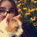 Profile Picture of °BAILEY DAYTON° (@bailey.pip) on Instagram