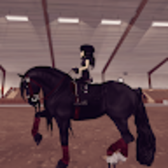 Profile Picture of Hannah Larcom (@hanlarcommn) on Poshmark