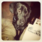 Profile Picture of Sean Keck-Mulligan (@mrsgirlsean) on Instagram