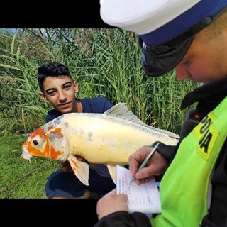 Profile Picture of Matteo Ramponi (@matteo.ramponi.73) on Facebook