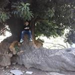 Profile Picture of Tomas Servin (@servin.tomas) on Instagram