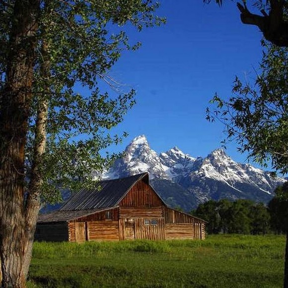 Profile Picture of Lisa Schwoerer (@lisashwear) on Poshmark