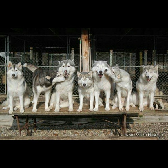 Profile Picture of Nancy Alley (@ladyk68) on Poshmark