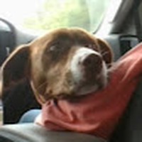 Profile Picture of Jasmin Mize (@jasmin-mize-1) on Quora