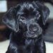 Profile Picture of Michael Jaskowski (@mjaskowski7) on Pinterest