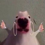 Profile Picture of jack skellington (@pordan.jerkins) on Instagram