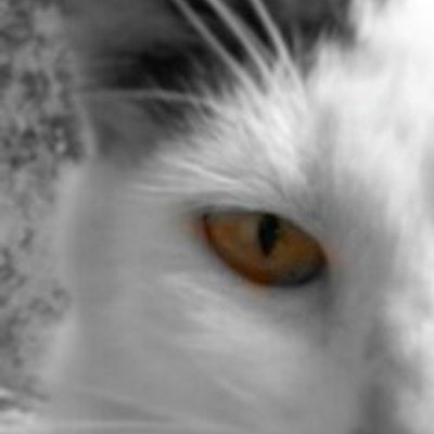 Profile Picture of Benjamin Zuñiga (@benjilio2001) on Twitter