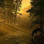 Profile Picture of Thomas Arculeo (@tommas_12) on Instagram